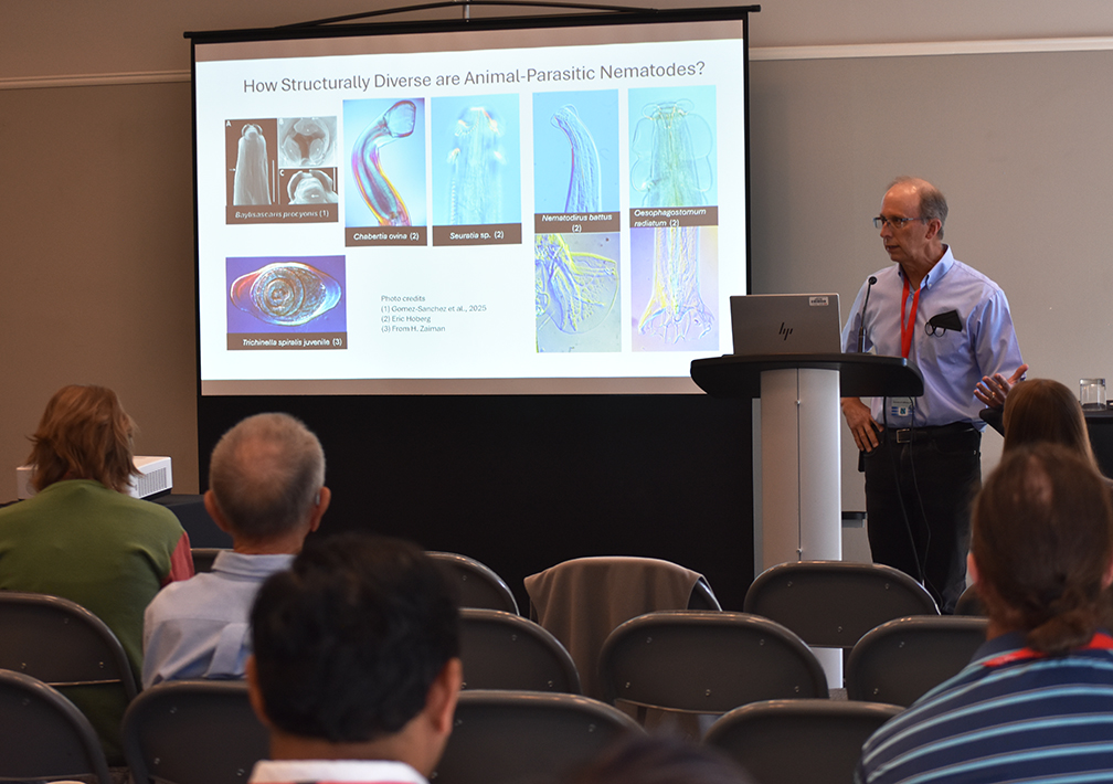 UC Davis Distinguished Professor Professor Steve Nadler of the UC Davis Department of Entomology and Nematology presenting a talk at the Society of Nematologists' meeting in Victoria, British Columbia. (SON Photo)