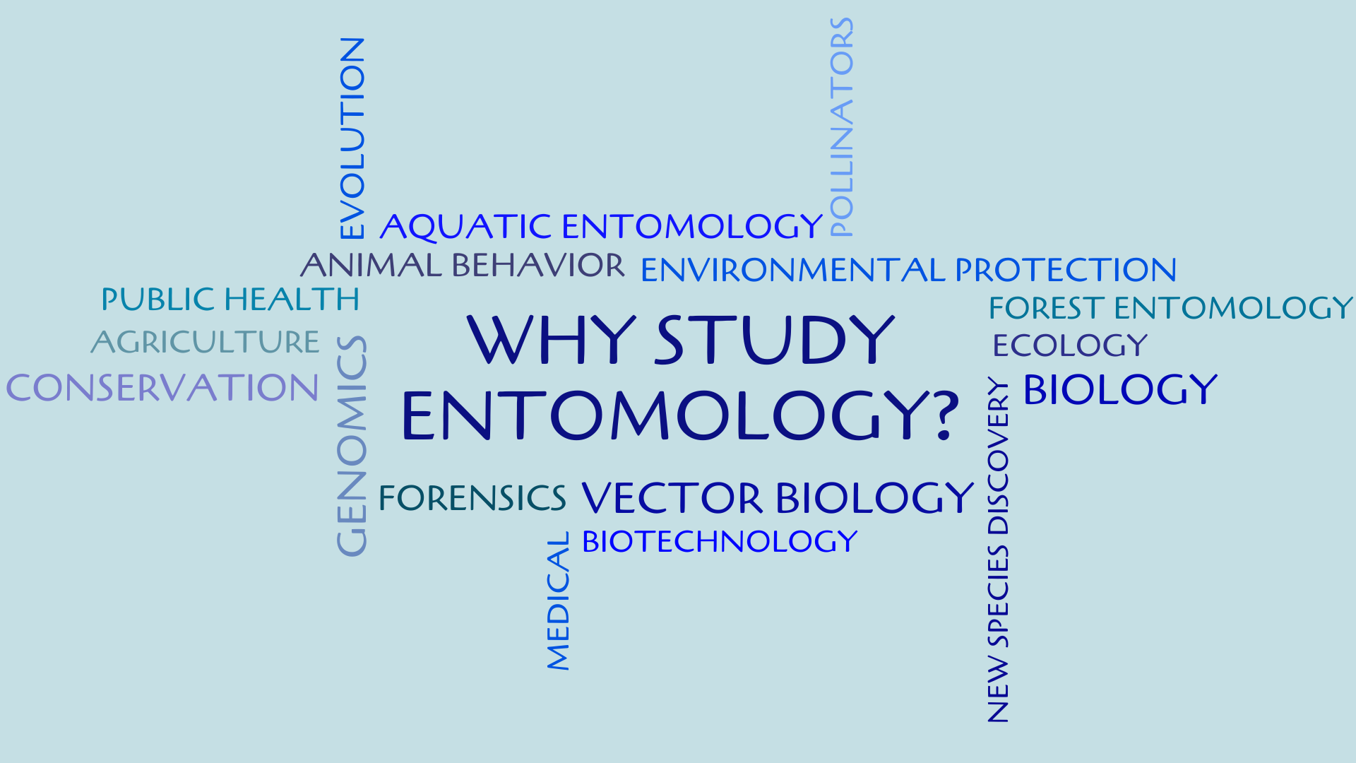 Why Study Entomology?