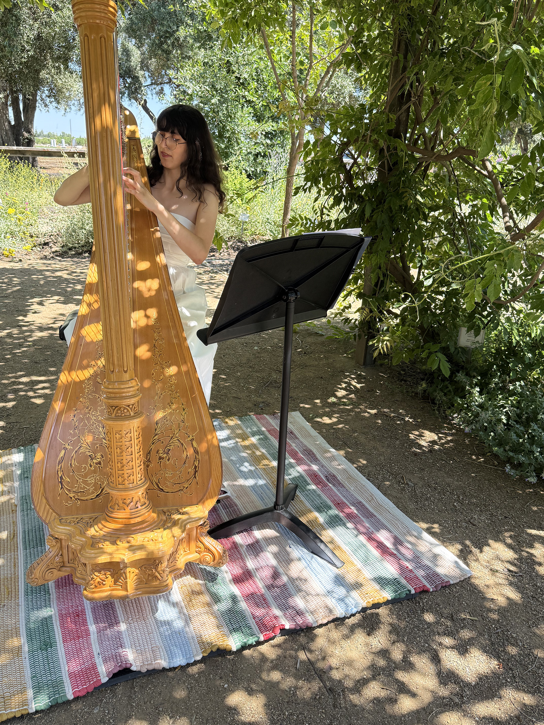 Samantha Murray playing her harp to the Vacaville Museum Guild. (Photo by Kathy Keatley Garvey)