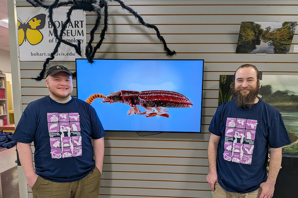 Two men stand beside a screen displaying a large insect, wearing matching blue t-shirts.