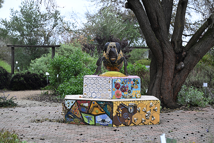 Colorful painted concrete benches with mosaic and honeycomb designs beneath a large tree
