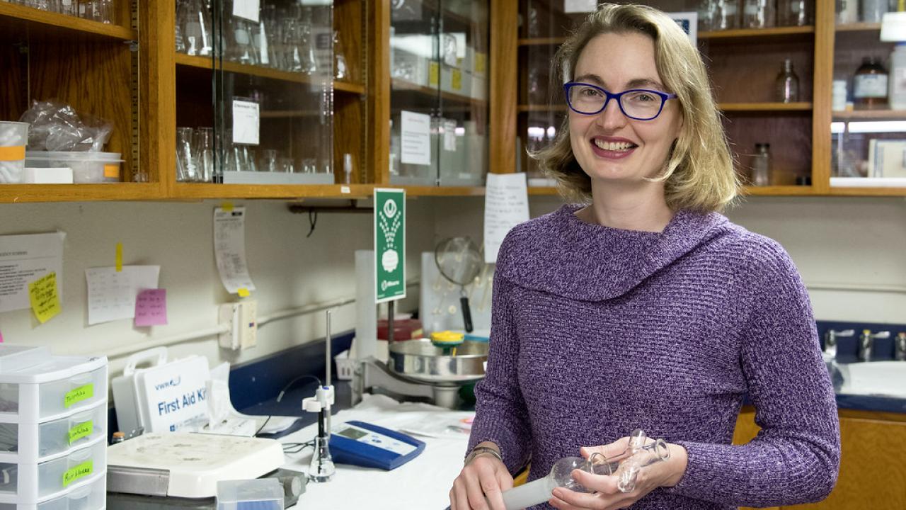 Professor Fiona Goggin of the University of Arkansas. (Photo courtesy of U of A)
