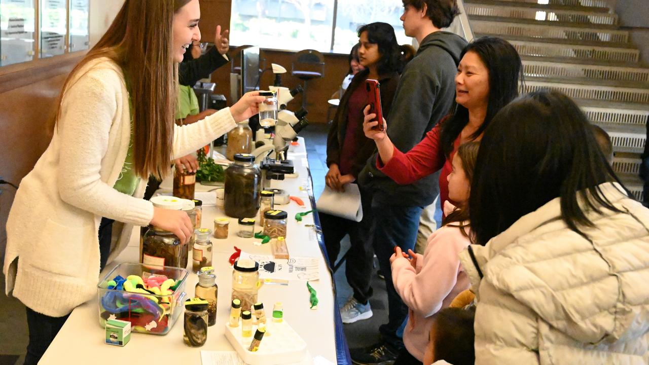 Doctoral candidate Alison Blundell engaging the public at a UC Davis Biodiversity Museum Day. (Photo by Kathy Keatley Garvey)
