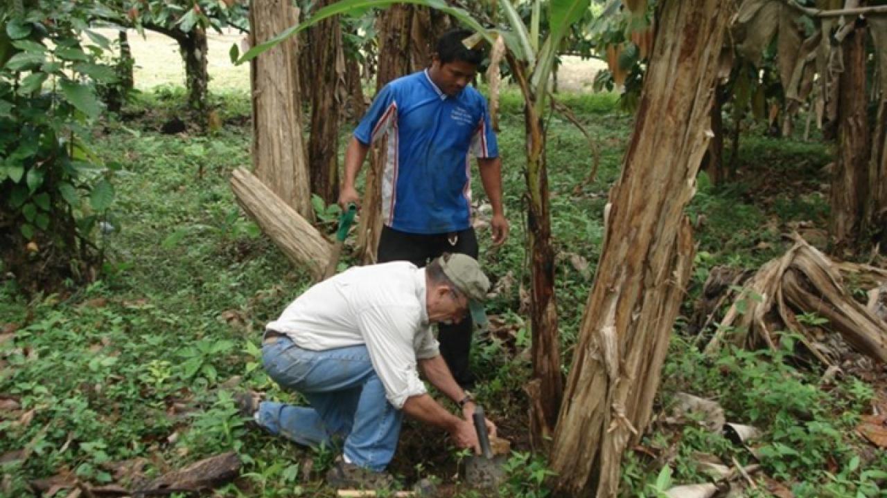 Nematolgoist Howard Ferris (kneeling) discussing nematodes in Costa Rica in 2015.