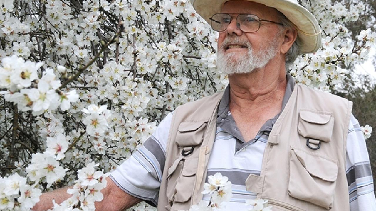 Robbin Thorp (1933-2019), UC Davis distinguished emeritus professor by an almond tree on Bee Biology Road. (Photo by Kathy Keatley Garvey)