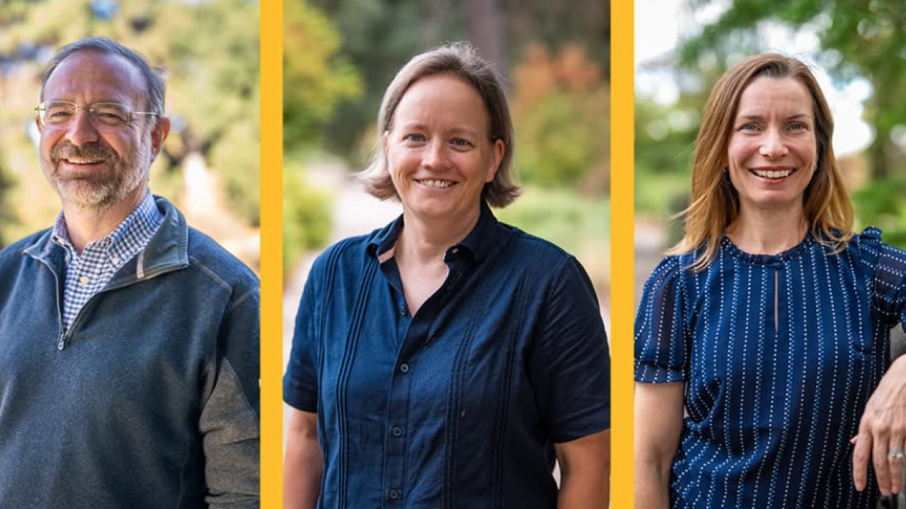 The College of Agricultural and Environmental Sciences leadership team, as announced Oct. 7 by Dean Ashley Stokes. From left are Jason Bond, Anne Todgham and Amanda Guyer (Jael Mackendorf / UC Davis)
