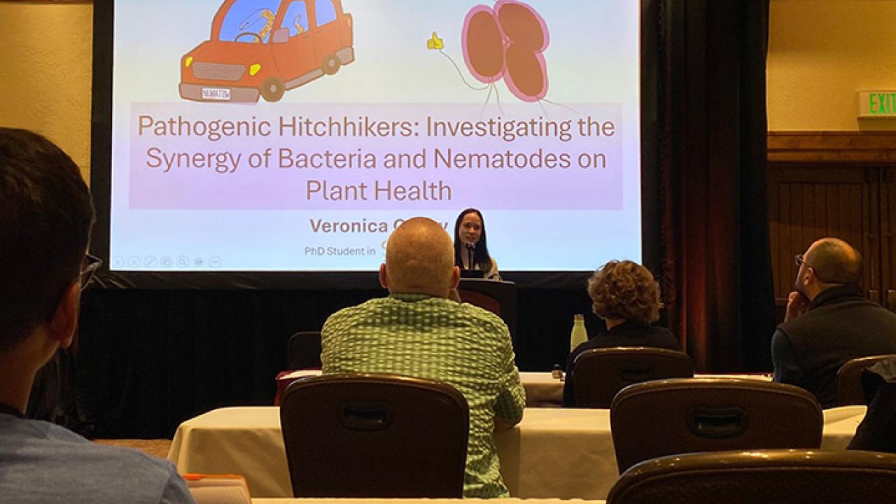 Doctoral student Veronica Casey of the Siddique lab delivering an invited  presentation on “Pathogenic Hitchhikers: Investigating the Synergy of Bacteria and Nematodes on Plant Health.”