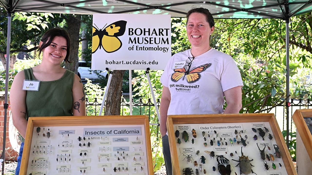 Two smiling volunteers at Bohart Museum booth under green canopy, insect specimen cases