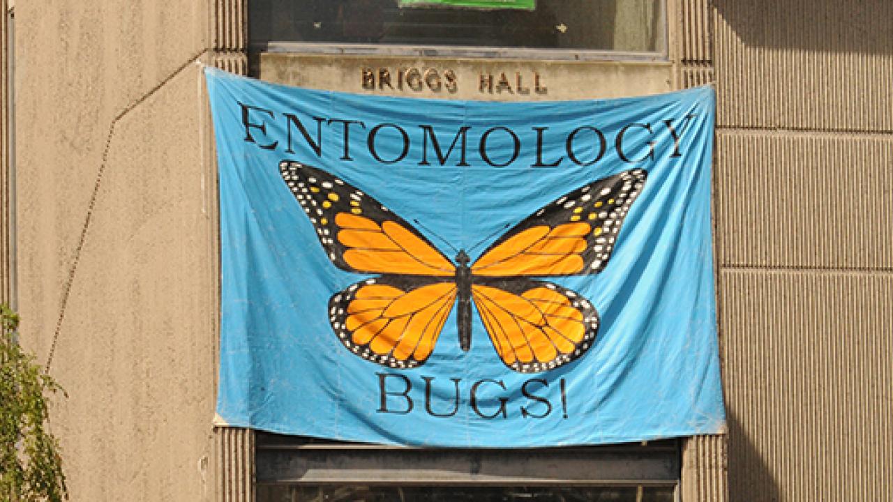 Monarch butterfly banner graces Briggs Hall