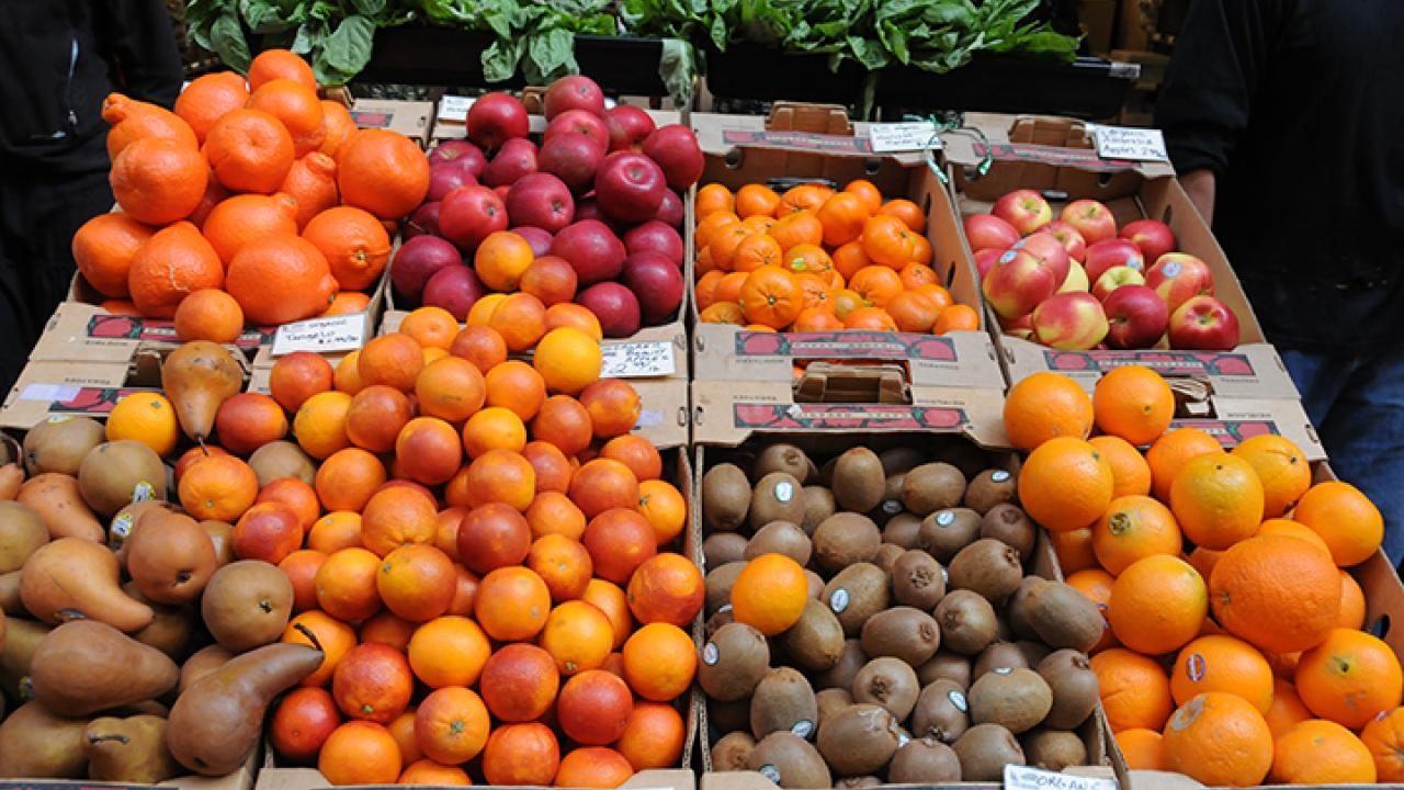 An array of fruits, from blood oranges to red apples. (Photo by Kathy Keatley Garvey)