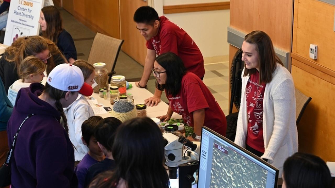 The nematode display, headed by associate professor Shahid Sidique, was a popular attraction at the 2024 UC Davis Biodiversity Museum Day. From left are doctoral student Nick Latina and doctoral candidates Pallavi Shakya and Alison Blundell. (Photo by Kathy Keatley Garvey)
