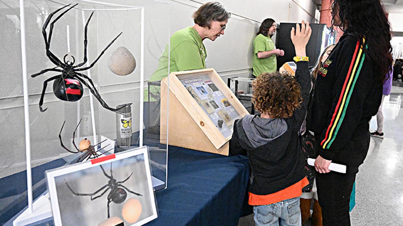 Entomologist Fran Keller answering questions at 2023 UC Davis Biodiveristy Museum Day