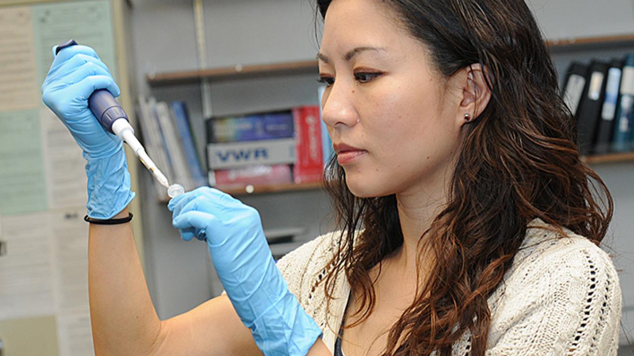 Molecular geneticist and physiologist Joanna Chiu working in her lab
