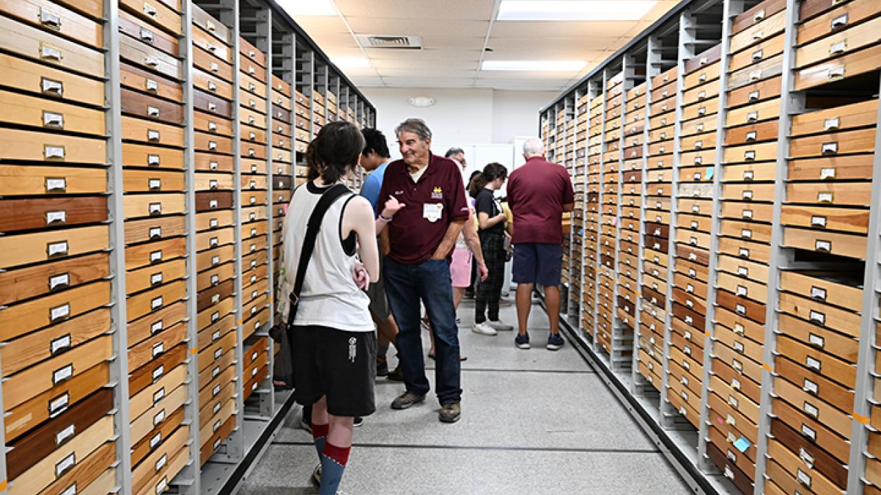 Visitors at the Lepidoptera collection, Bohart Museum of Entomology.