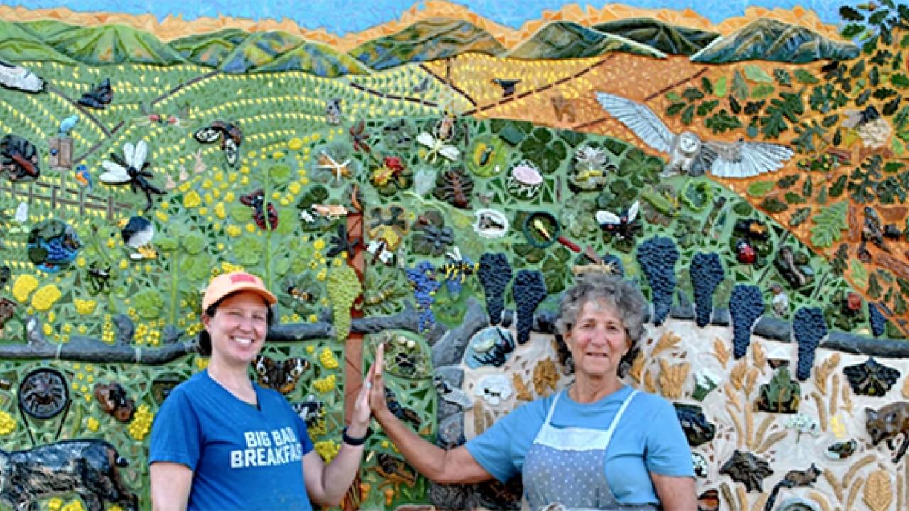 UC Davis distinguished professor emerita Diane Ullman (right) and assistant professor Emily Meineke, entomologists and artists, exult following the 2023 completion of their ceramic-mosaic mural, “The Secret Life of Vineyards,” installed at the Mathaiasson Winery on Dry Creek Road, Napa. It depicts more than 80 arthropods (insects, spiders and centipedes), several bird species, mammals (bobcat, deer, rabbits, squirrels, a pocket gopher), a gopher snake, mycorrhizal fungi and even earthworms, (Photo by Ga