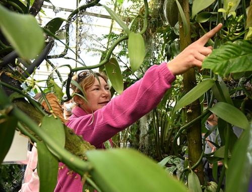Marlene Simon in the Botanical Conservatory. (Photo by Kathy Keatley Garvey)
