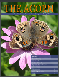 Cover of Acorn quarterly magazine