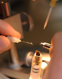 This image shows instrumental insemination of a queen. (Photo by Kathy Keatley Garvey)