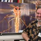 Medical entomologist-geneticist Geoffrey Attrardo 