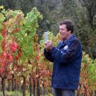 UC Davis distinguished professor Frank Zalom takes an image of a Willamette vineyard showing grapevine red blotch virus in the fall. 