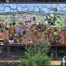 Colorful mural featuring various scenes of nature, animals, and people in an outdoor setting.