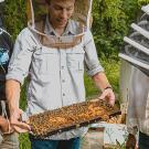 Bee researcher Scott McArt of Cornell University with students. 